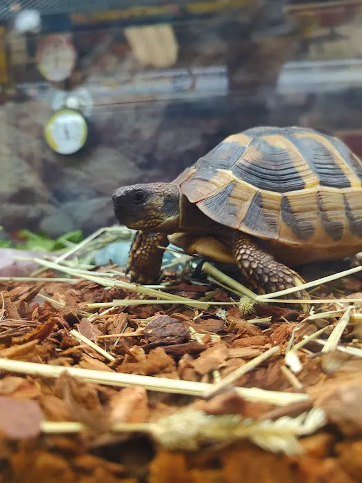 Petco Picture 1