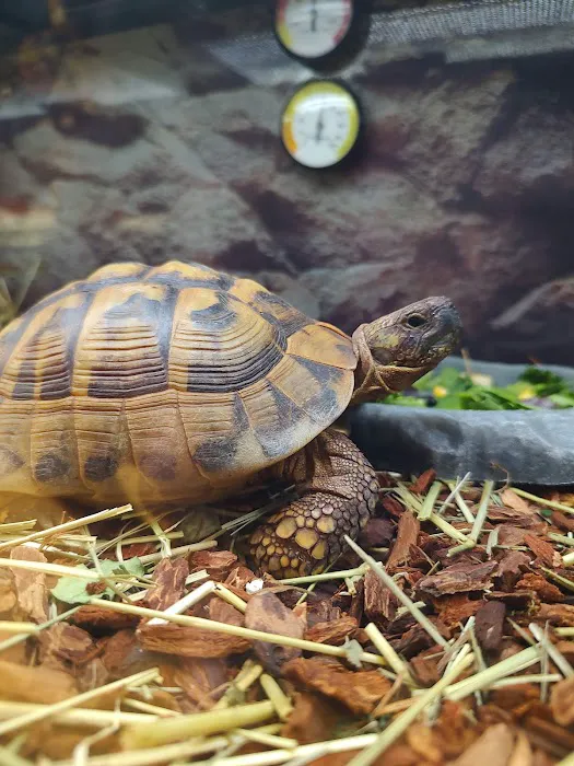 Petco Picture 2