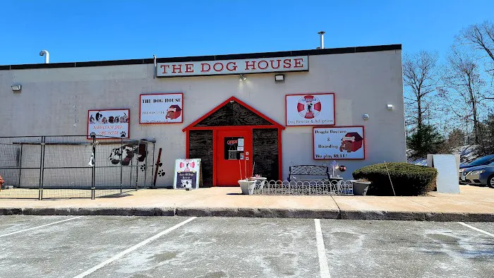 The Dog House Picture 9