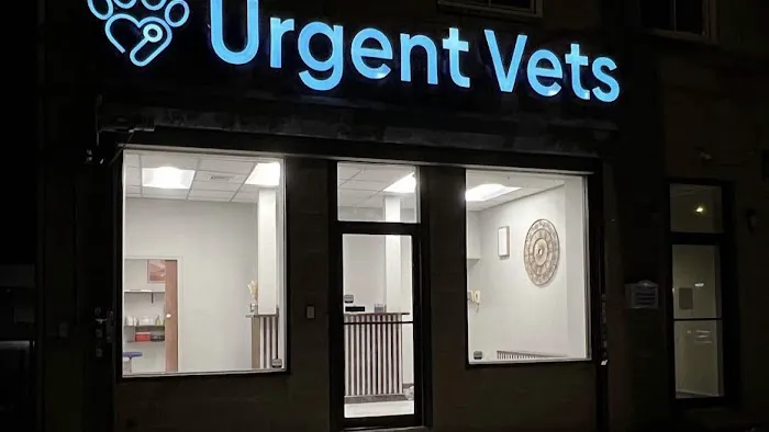 IAC Urgent Vets - Queens Picture 6