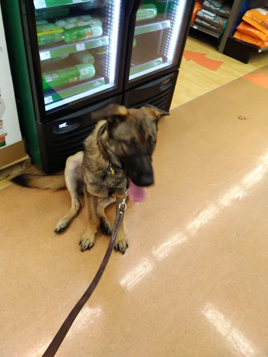 Petco Picture 3