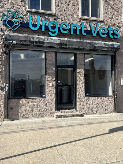 Throgs Neck animal hospital Picture 10