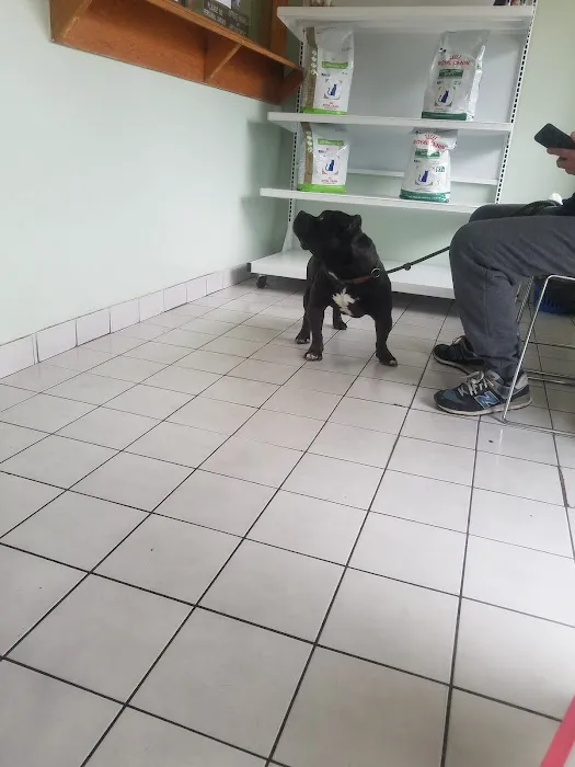 Throgs Neck animal hospital Picture 8