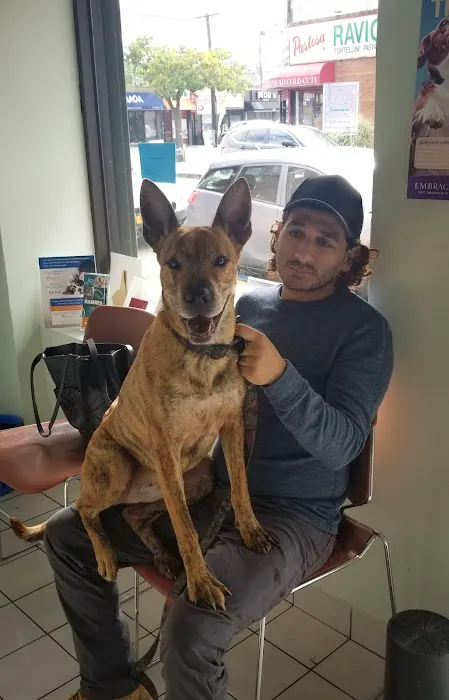 Throgs Neck animal hospital Picture 3