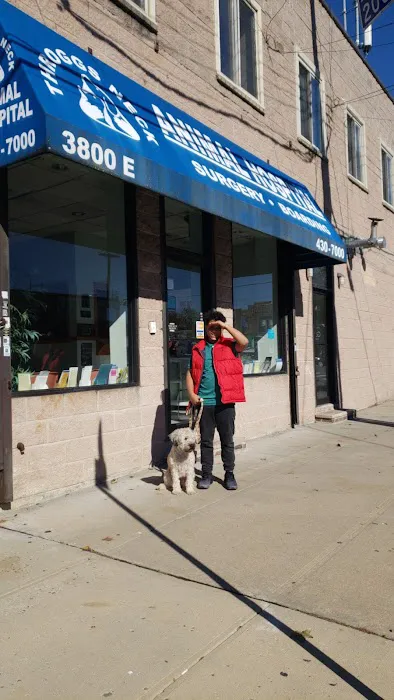 Throgs Neck animal hospital Picture 4