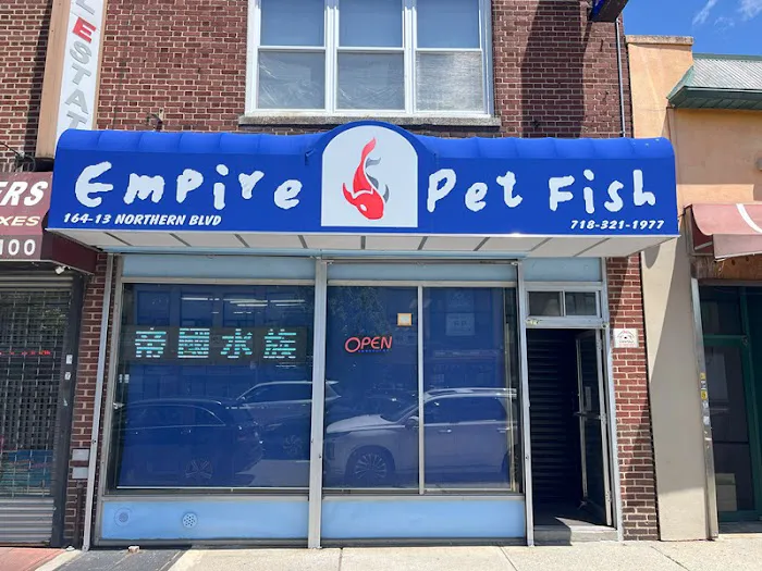 Empire Pet Fish Picture 10