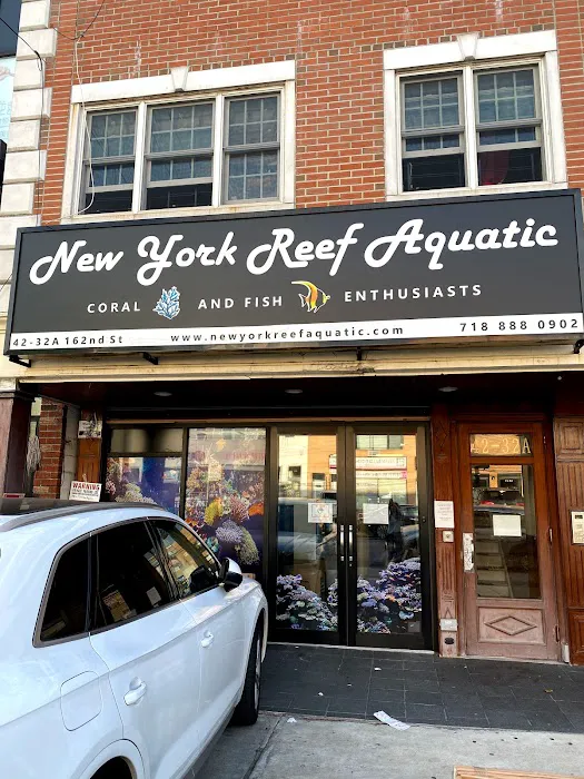 New York Reef Aquatic Picture 8