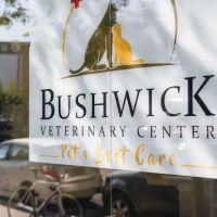 Bushwick Veterinary Center ico