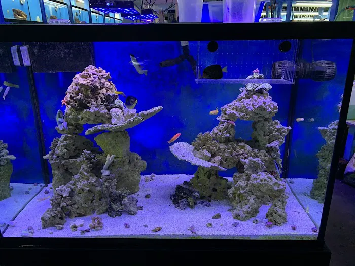 KHC Aquarium Picture 4