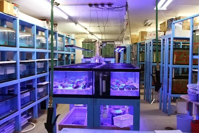 KHC Aquarium Picture 9