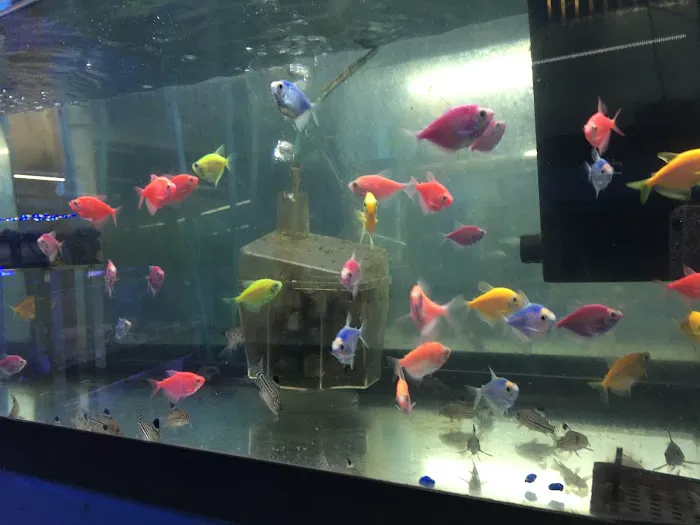 KHC Aquarium Picture 10