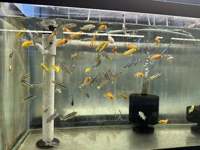 KHC Aquarium Picture 3