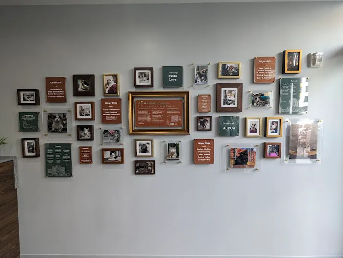 Flatbush Veterinary Clinic Picture 6
