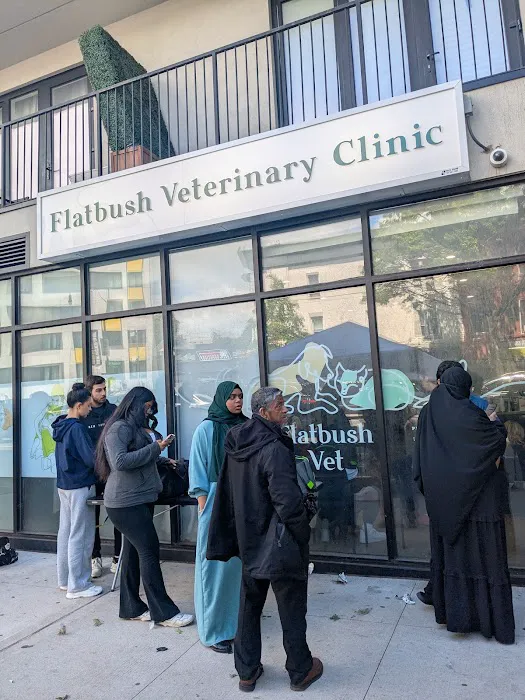 Flatbush Veterinary Clinic Picture 3