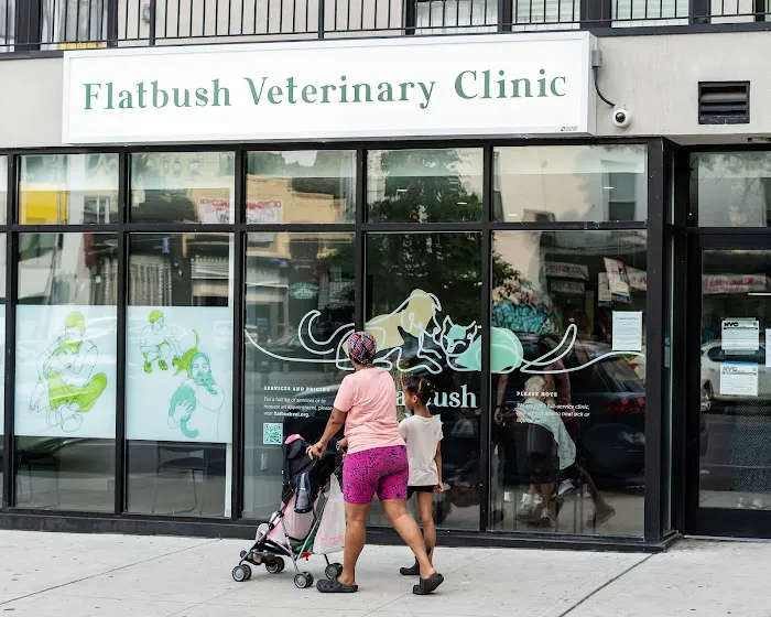 Flatbush Veterinary Clinic Picture 7