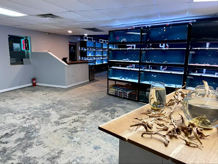 Fluid Dynamics Aquarium Services and Store Picture 1