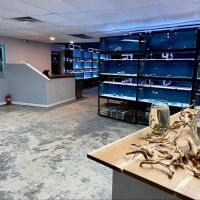 Fluid Dynamics Aquarium Services and Store ico