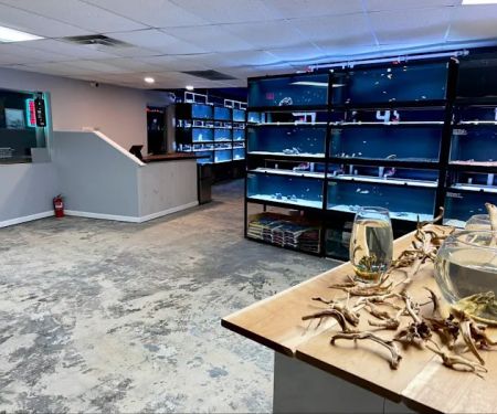 Fluid Dynamics Aquarium Services and Store