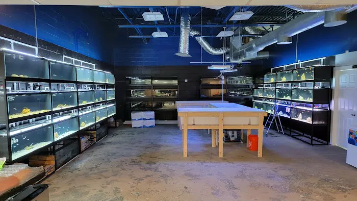 Fluid Dynamics Aquarium Services and Store Picture 5