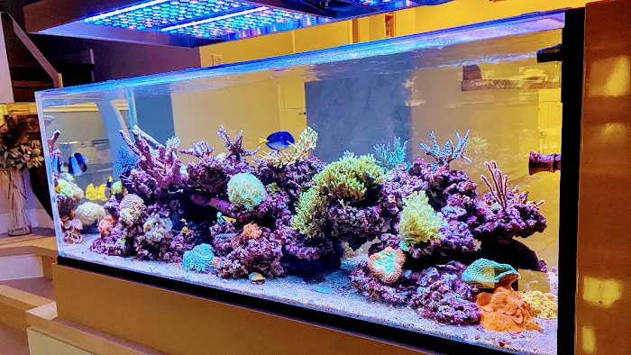 Fluid Dynamics Aquarium Services and Store Picture 8