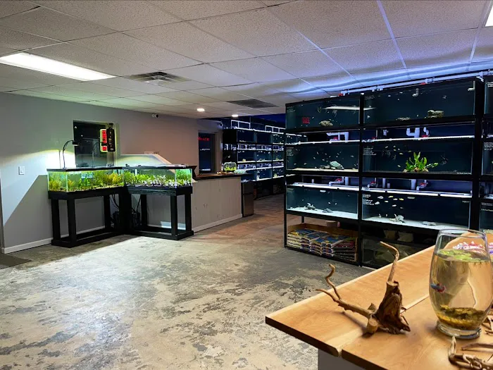 Fluid Dynamics Aquarium Services and Store Picture 9