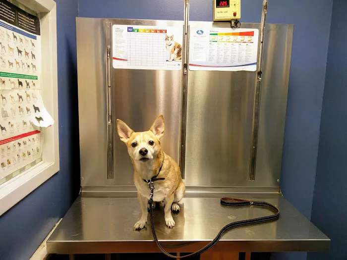 Queens Animal Hospital Picture 6