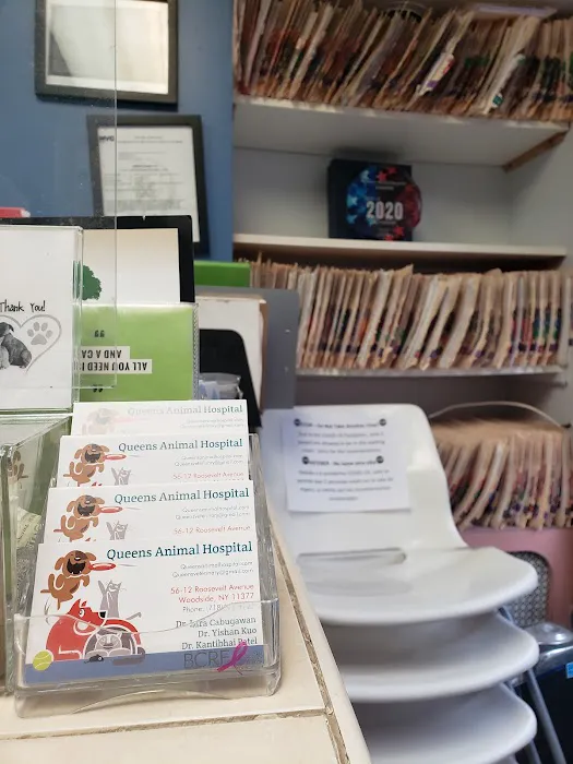 Queens Animal Hospital Picture 8