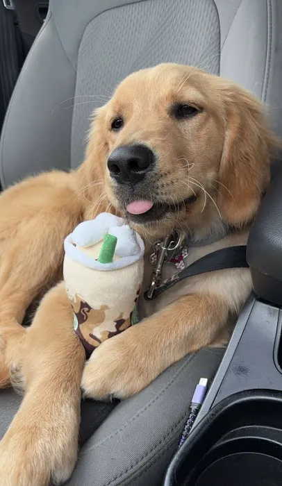 Spoiled Bitch Dog Boutique Picture 4