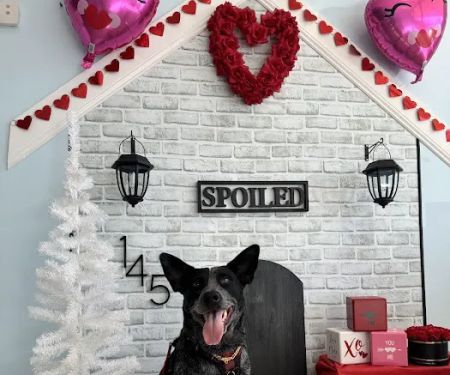 Spoiled Bitch Dog Boutique