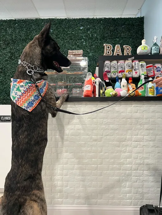 Spoiled Bitch Dog Boutique Picture 9