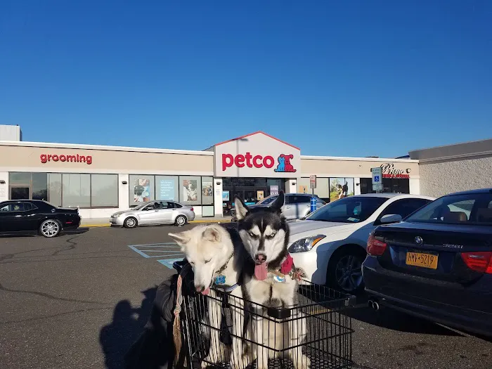 Petco Picture 2