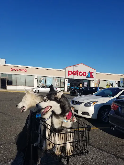 Petco Picture 1