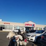 Petco