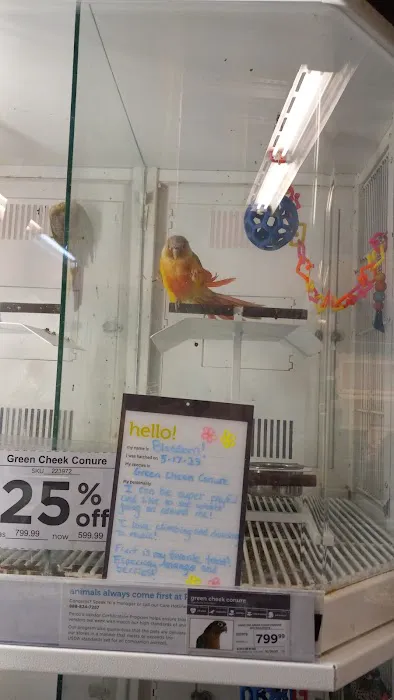 Petco Picture 5