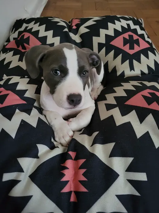 Petco Picture 6