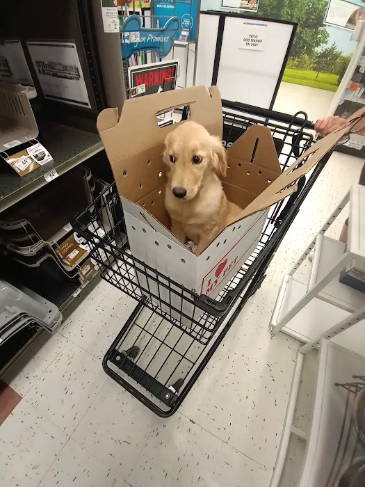 Petco Picture 10