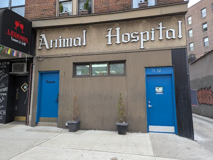 Heights Animal Hospital Picture 3