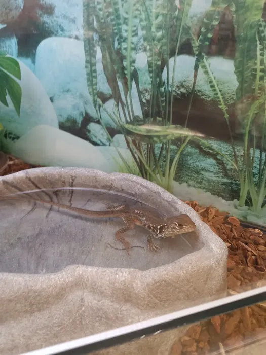 Petco Picture 5
