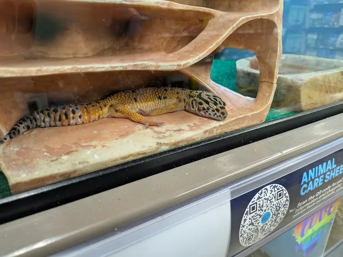 Petco Picture 9