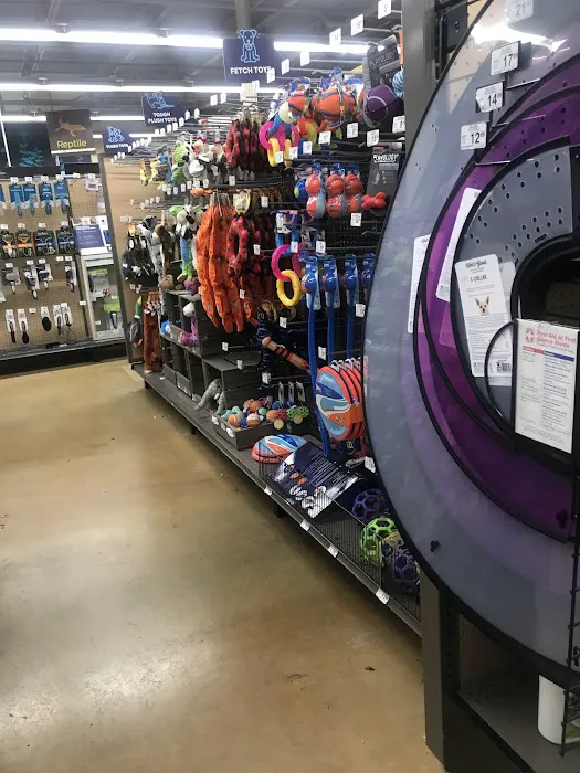 Petco Picture 8