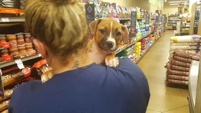 Petco Picture 7