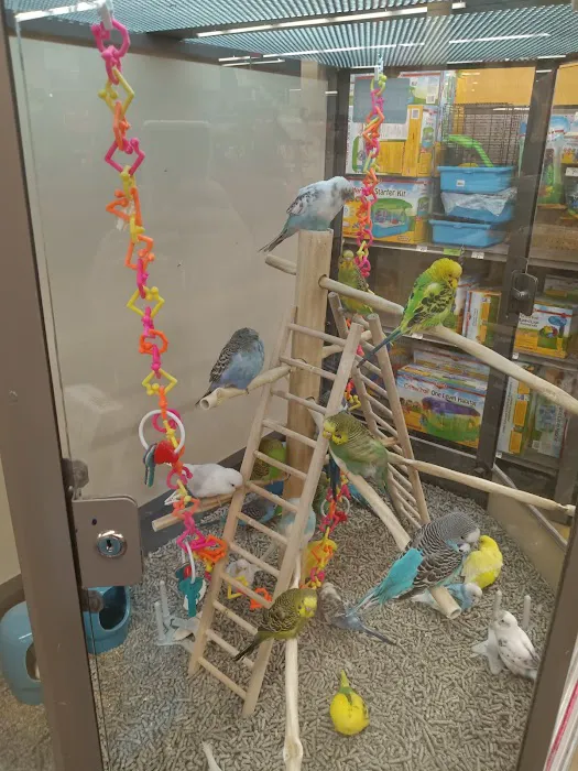 Petco Picture 2