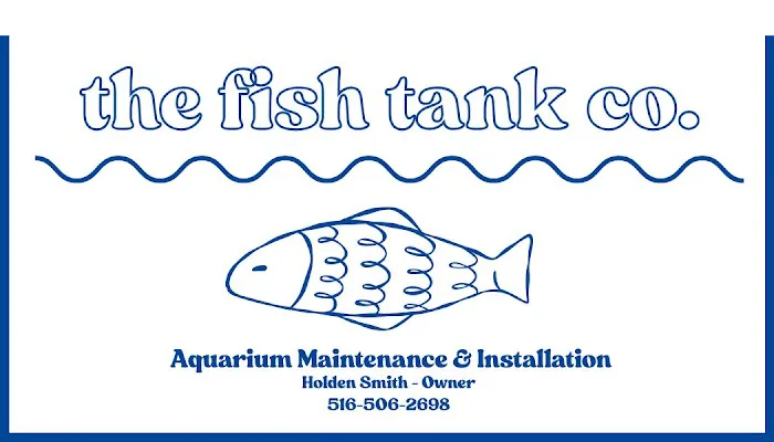 the fish tank co. - Aquarium Maintenance and Installation Services Picture 2