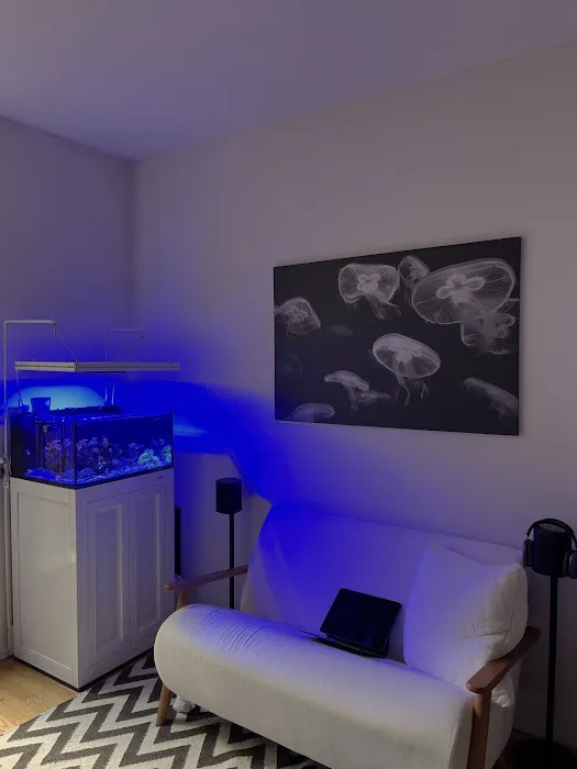 the fish tank co. - Aquarium Maintenance and Installation Services Picture 1