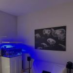 the fish tank co. - Aquarium Maintenance and Installation Services