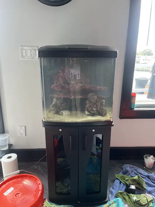 the fish tank co. - Aquarium Maintenance and Installation Services Picture 8