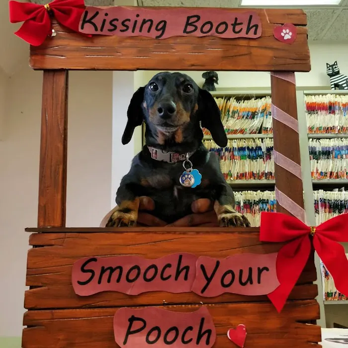 The Sunnyside Pet Healthcare & Dental Center Picture 8
