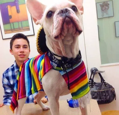 The Sunnyside Pet Healthcare & Dental Center Picture 6
