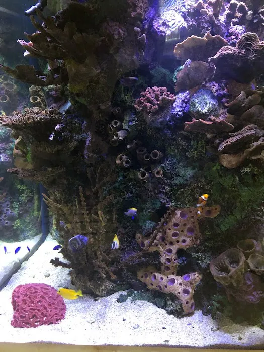 Aquarium Network Picture 9
