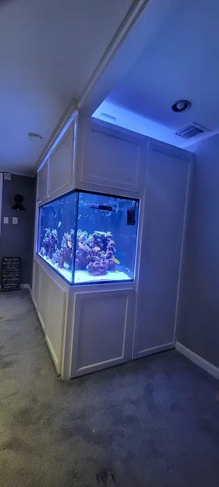 Aquarium Network Picture 2